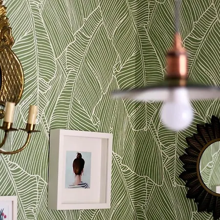 아파트 Apartamento Central